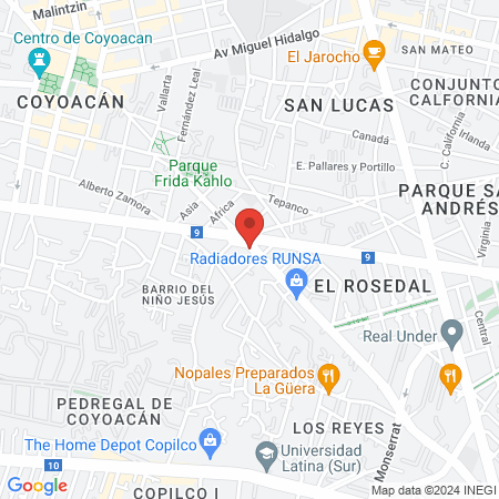 Tecfit Coyoacan map