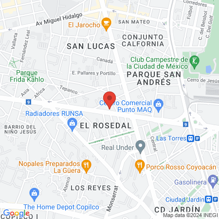 CVF Centro Veterinario Felino map