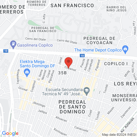 Veterinaria arvizu map