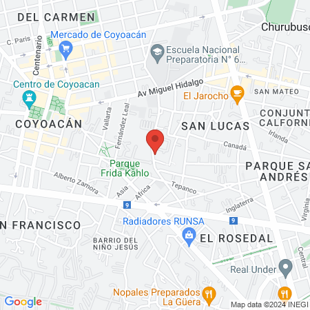4 Pets Coyoacan map