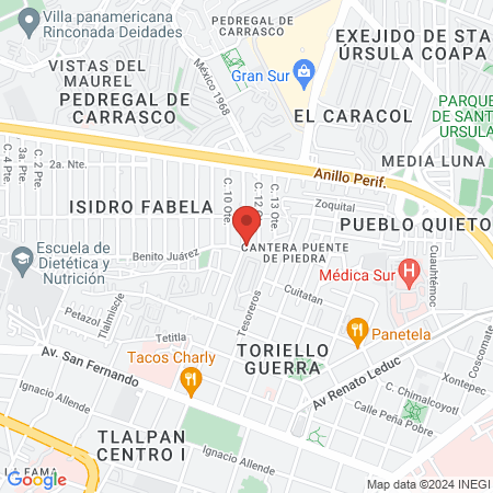 Best 4 Pets Sucursal Isidro Fabela map