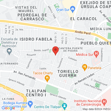 Veterinaria AZUMI PETS map