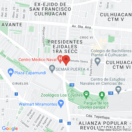 Pérez Rodríguez Elizabeth Leticia map