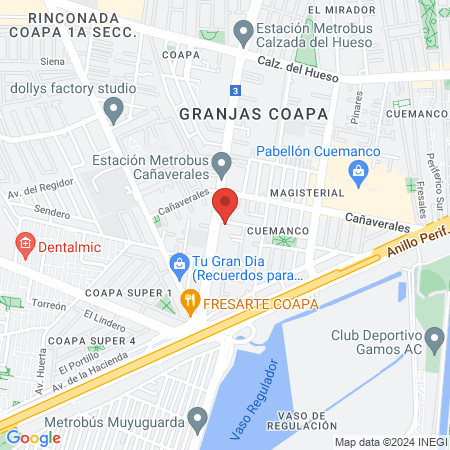 Clinica dental y psicológica ZÄNATANTLI map