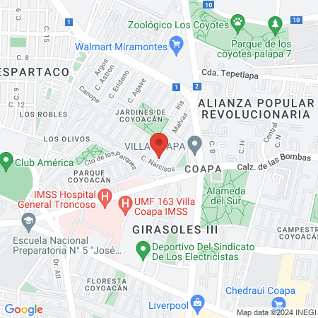 Llado Reyes Laura Luz map