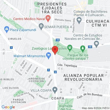 Dra. Briceida Martínez Casado, Dentista - Odontólogo map