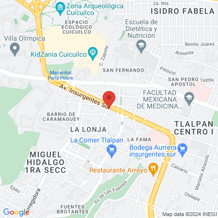 León De Navajas Insurgentes Sur map