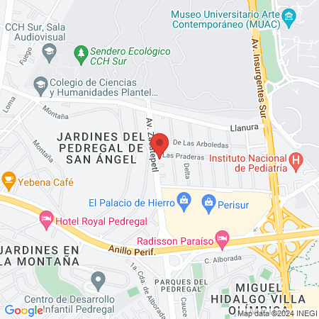 Gutierrez Orendain Lourdes Dra map