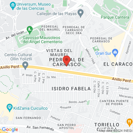 Hospital Ángeles Caninos Del Pedregal map