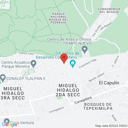 Pets & Flowers Clínica Veterinaria map