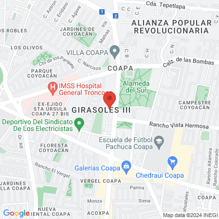 Pineda Garcia Irma map