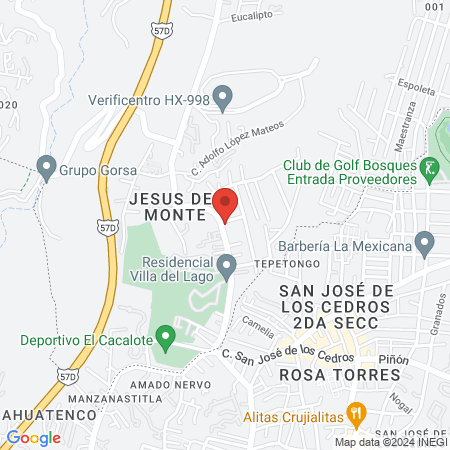 Veterinaria Petit Dra Junuen Mejia map