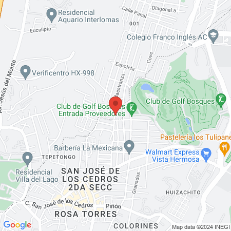 CLINICA DENTS SPA map