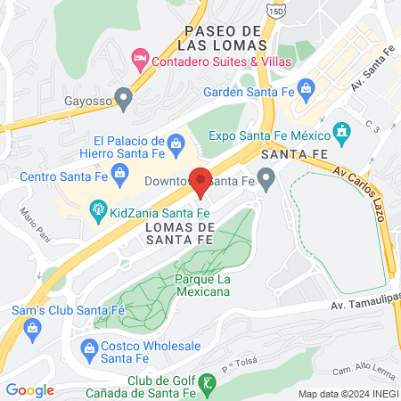 Treviño Santos Alejandro Dr map