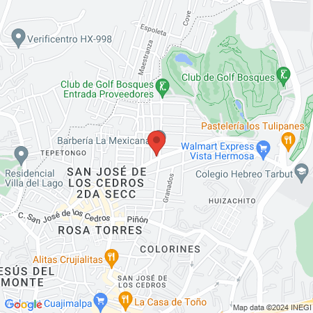 ACADEMIA PREFESIONAL DE BELLA Vio estilo map