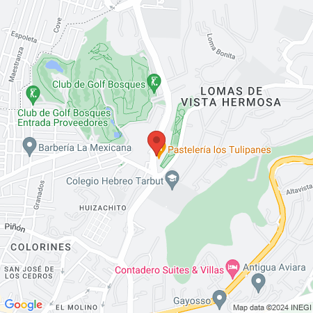 Equipos y aparatos para Gimnasio IMD Lifefitness Mexico map