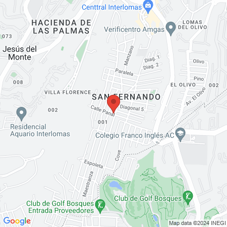 Veterinaria San Fernando map