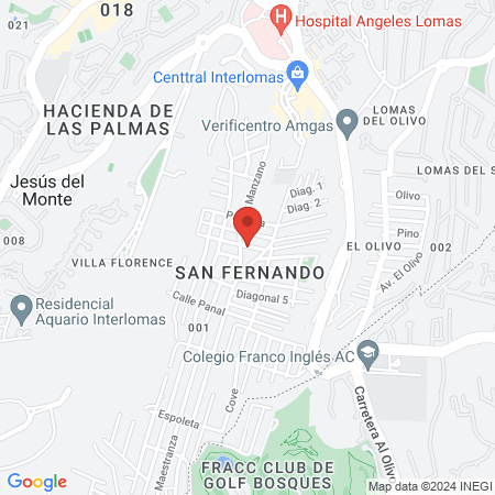 Concepto Integral Canino map