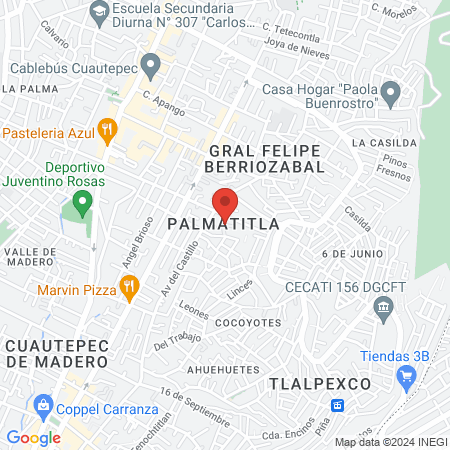 Nail’s little frog map