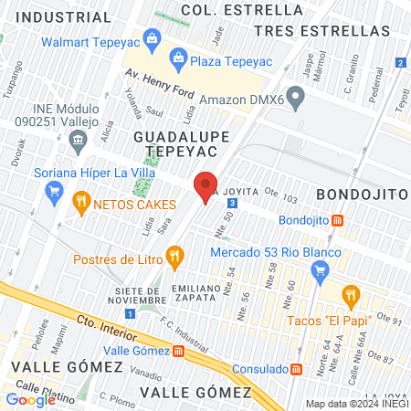 Clínica Veterinaria Zoovet MX map