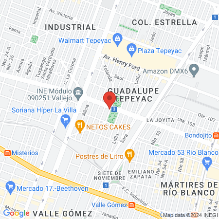 Clinipets Tepeyac map