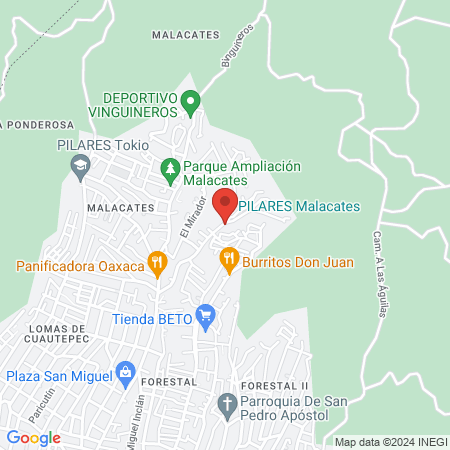 La jungla BarberShop map