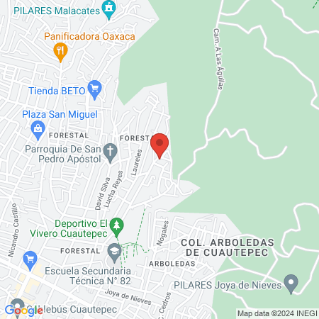 Servicio Médico Veterinario map