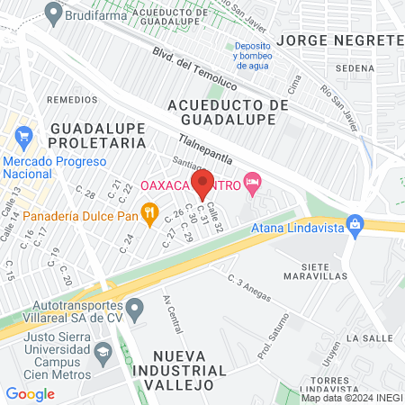 Psicólogo Luis Trejo map