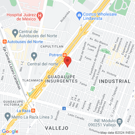 Estetica Canina Y Felina Pequeños Animales map