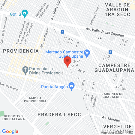 Atención Digna. Veterinaria map