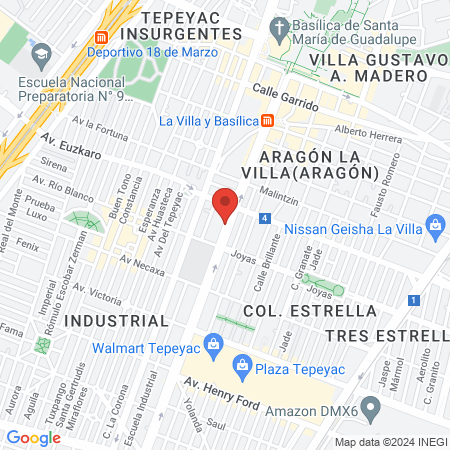 Hernandez Valdez Alicia map