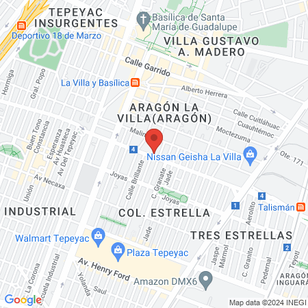 Dra. Alejandra Máynez Rivera map