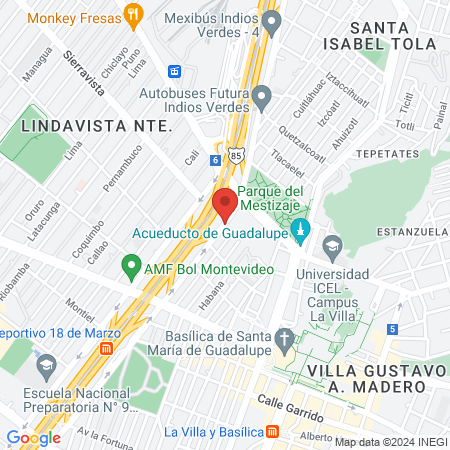 Dra Maria Estela Lara Martinez map