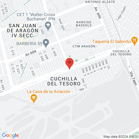 Estética Muzzel, Técnica en Microblading,Técnica en Micropigmentación de ceja ombrė o rellena, baby lips, Eyer liner map