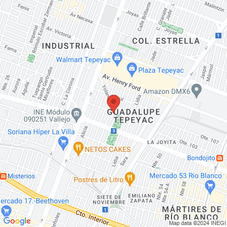 CLINICA VETERINARIA DEL PARQUE map