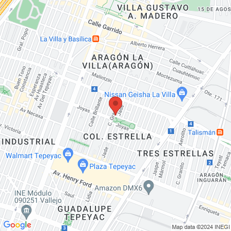 Pichardo Mejia Gustavo Ruben map