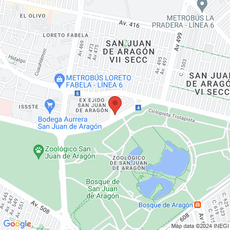 Dra. Berenice Torres Rojas, Neumólogo map