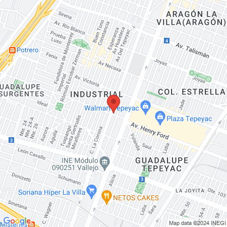 Barbería Young Golden map