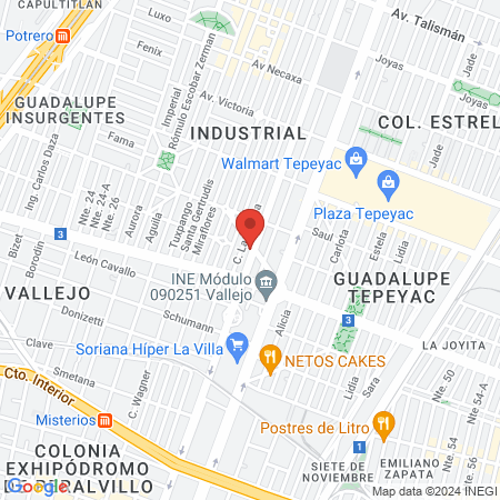 Clinica Veterinaria Especializada Mvz Jose Jimenez Najera map