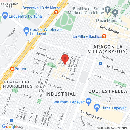 Mundo Pets Bongo map