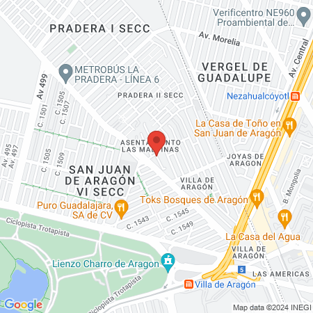 Black Lion' Muay Thai map