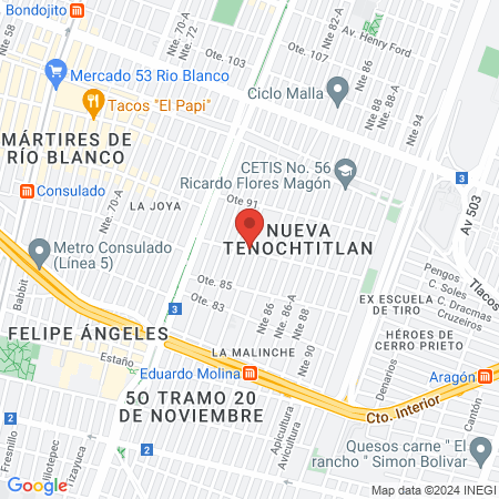 Estética Unisex Leo map