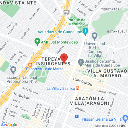 Everlin estética map