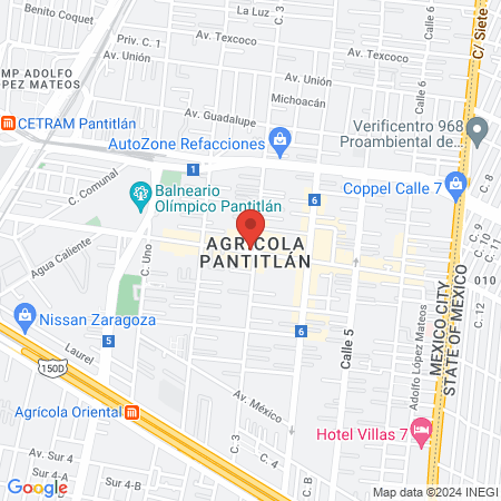 Estética canina map