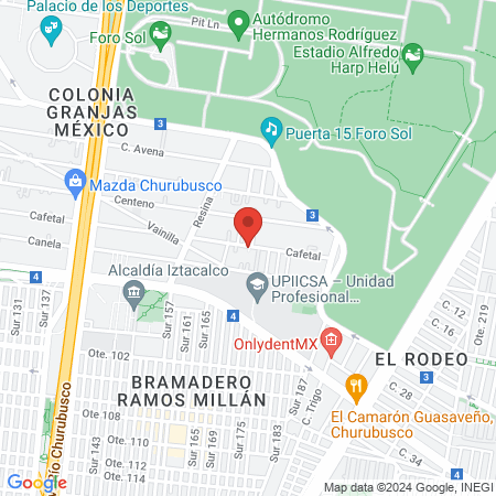 Consultorio veterinario leo map