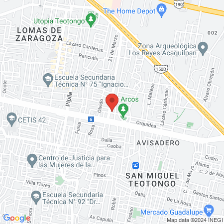 Veterinaria Mi + kota map