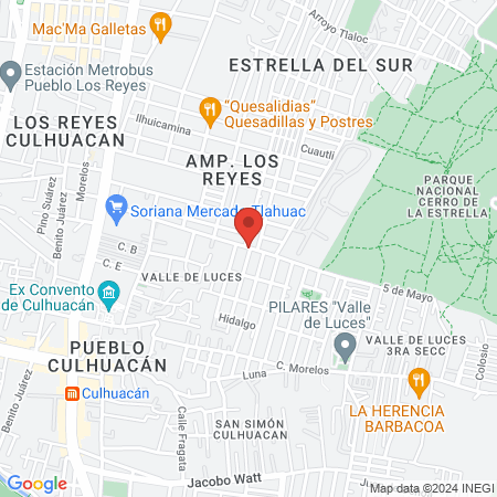 Reptil físic gym map