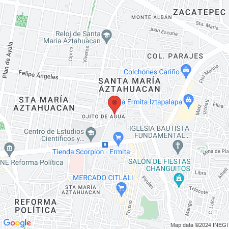 Gym Rhino Figth Team Mexico map