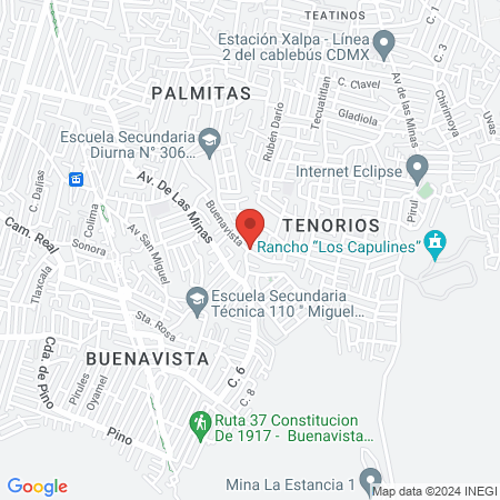 Consultorio Veterinario Tenorios map