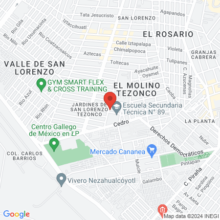 Solución Dental map